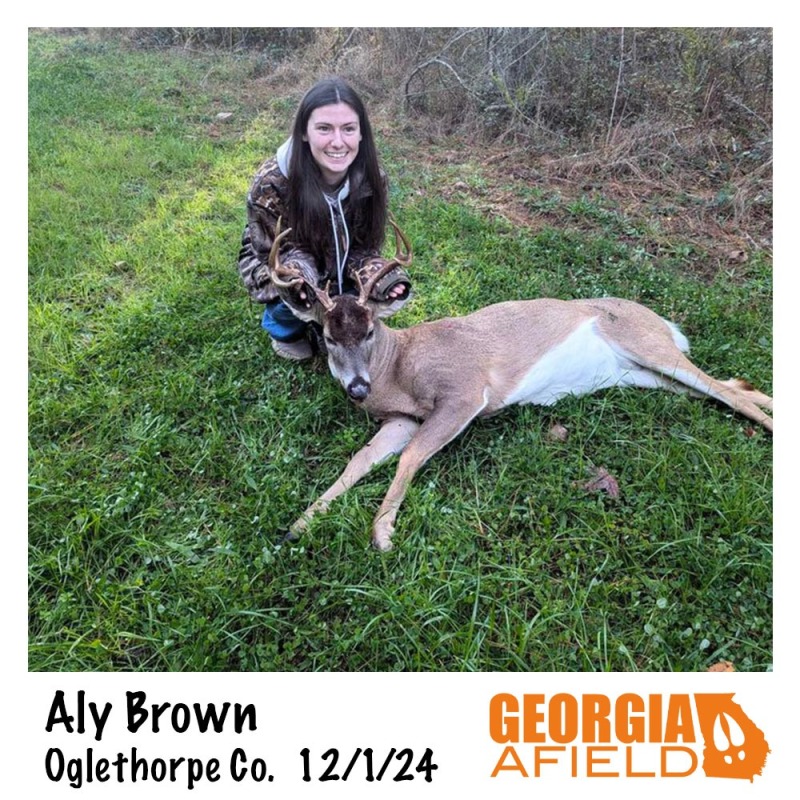 120124-Aly-Brown-buck