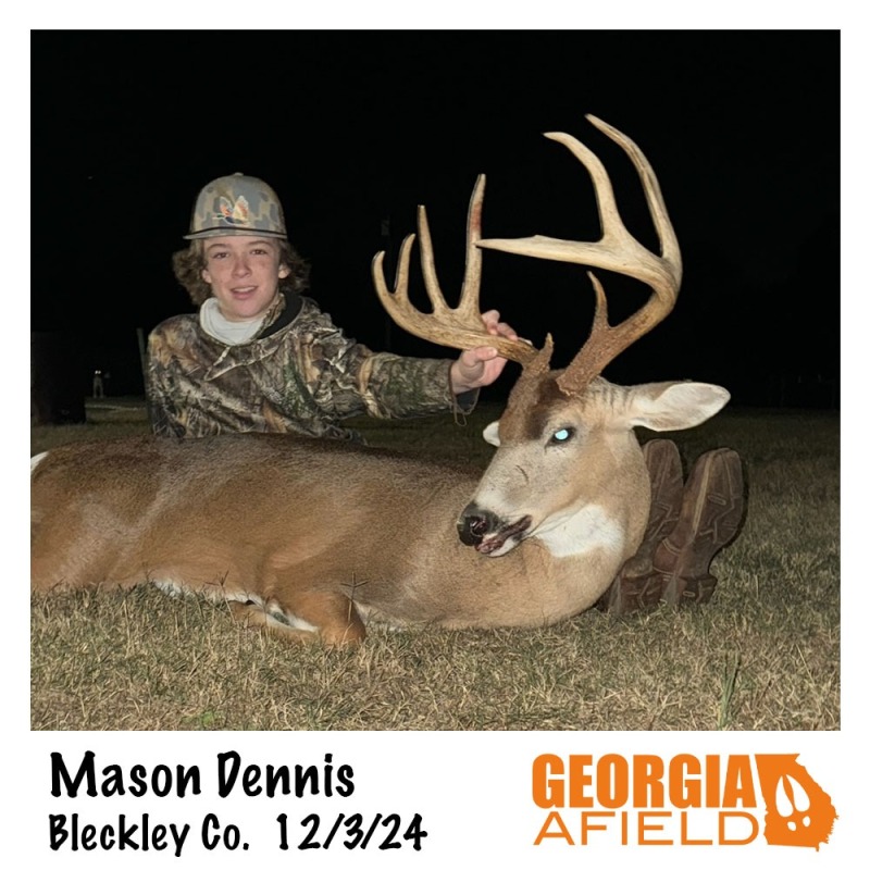 120324Mason-Dennis-buck