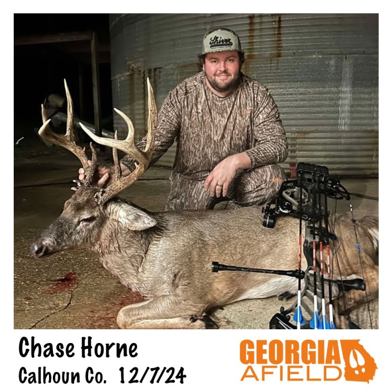 120724-Chase-Horne-buck