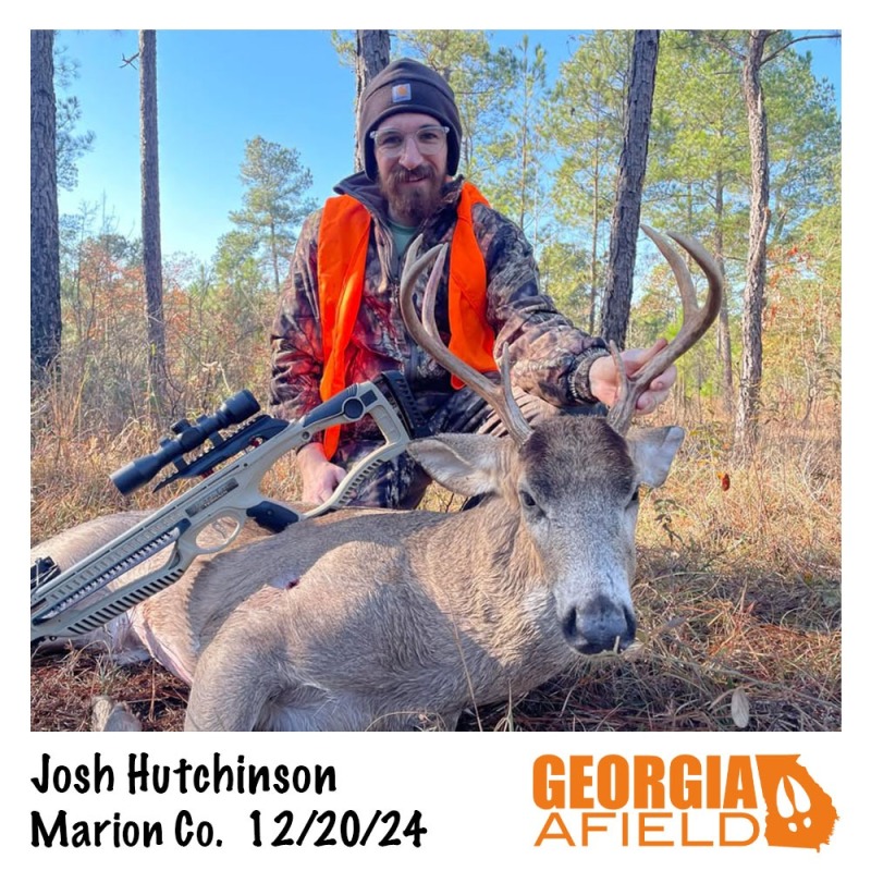 122024-Josh-Hutchinson-buck
