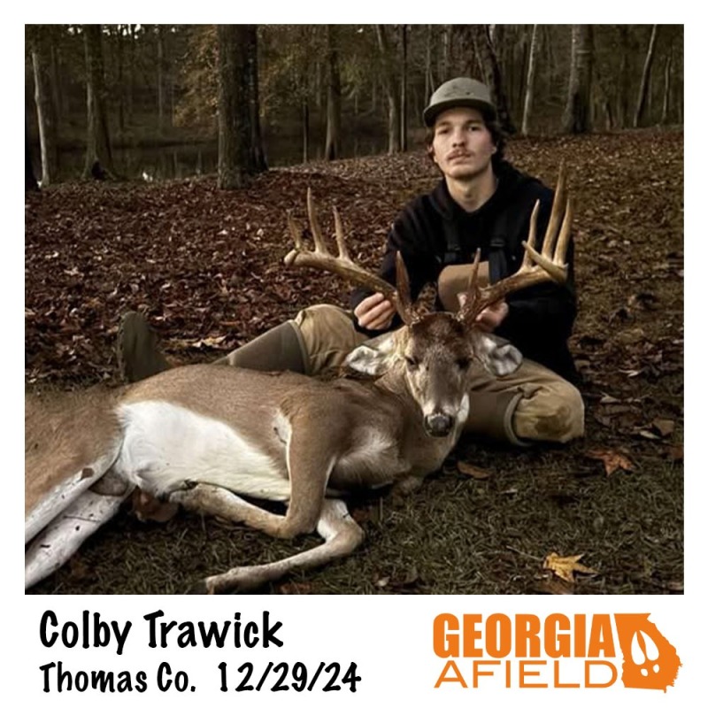 122924-Colby-Trawick-buck