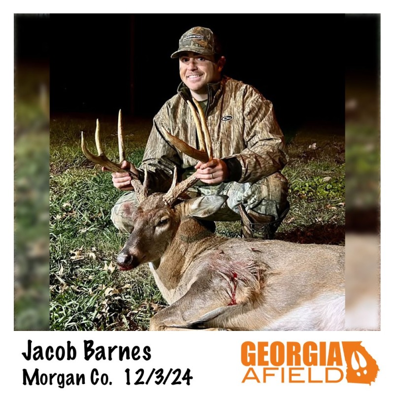 Jacob-Barnes-buck