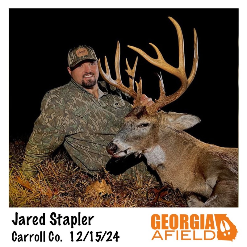 Jared-Stapler-buck