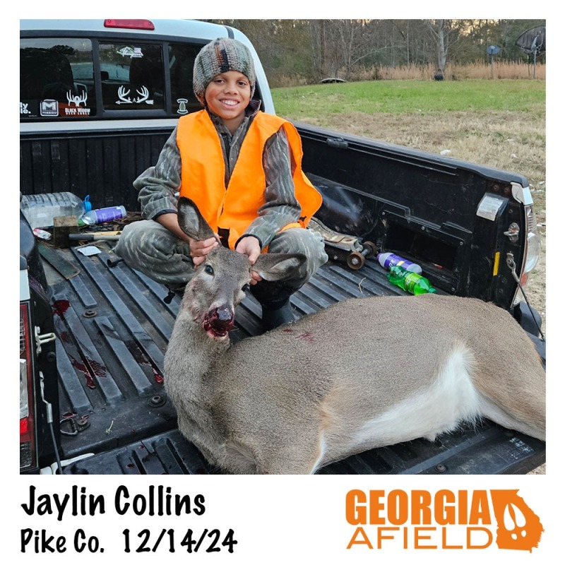 Jaylin-Collins-doe