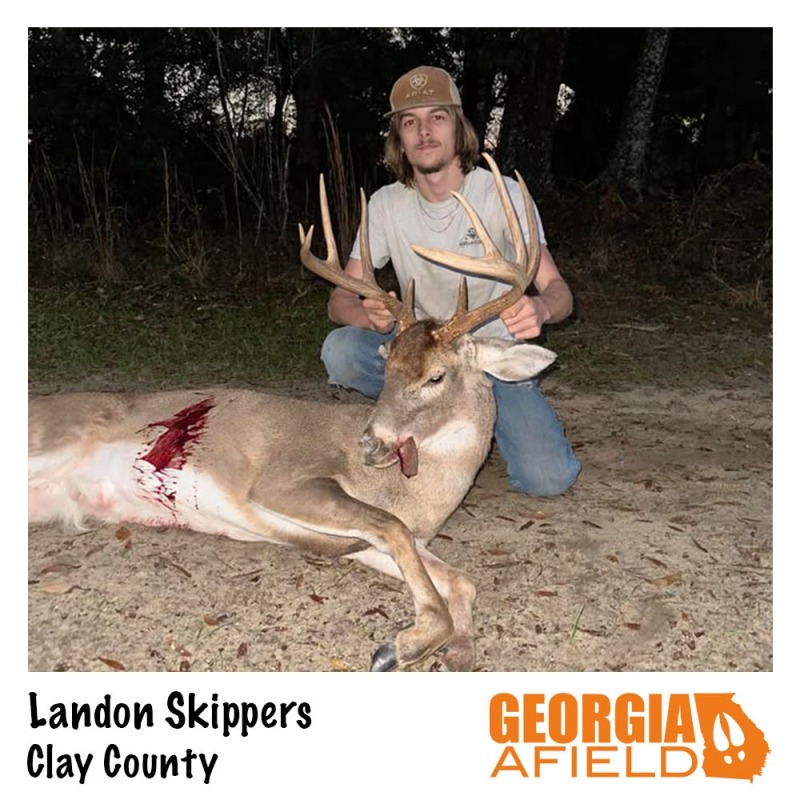 Landon-Skippers-buck