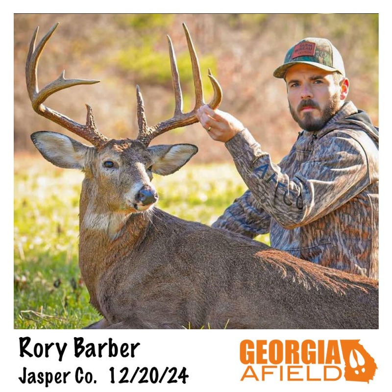 Rory-Barber-buck