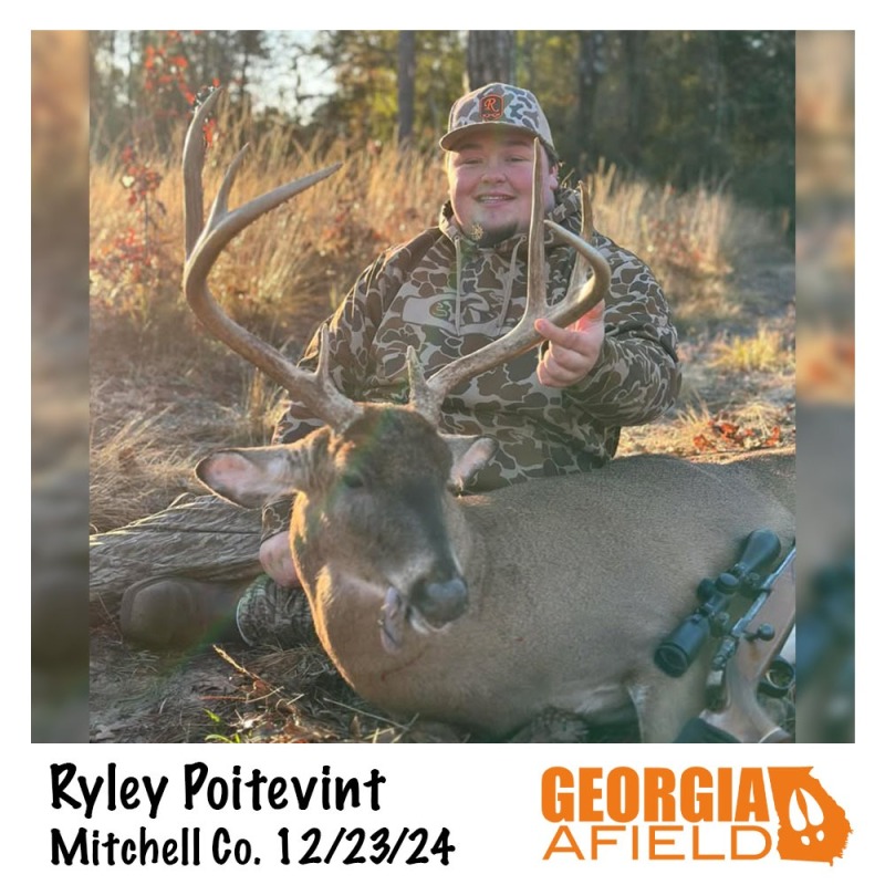 Ryley-Poitevint-buck
