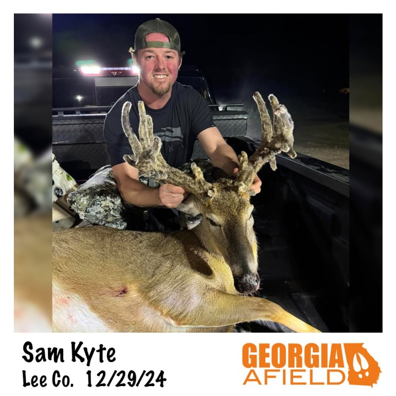 Sam-Kyte-buck