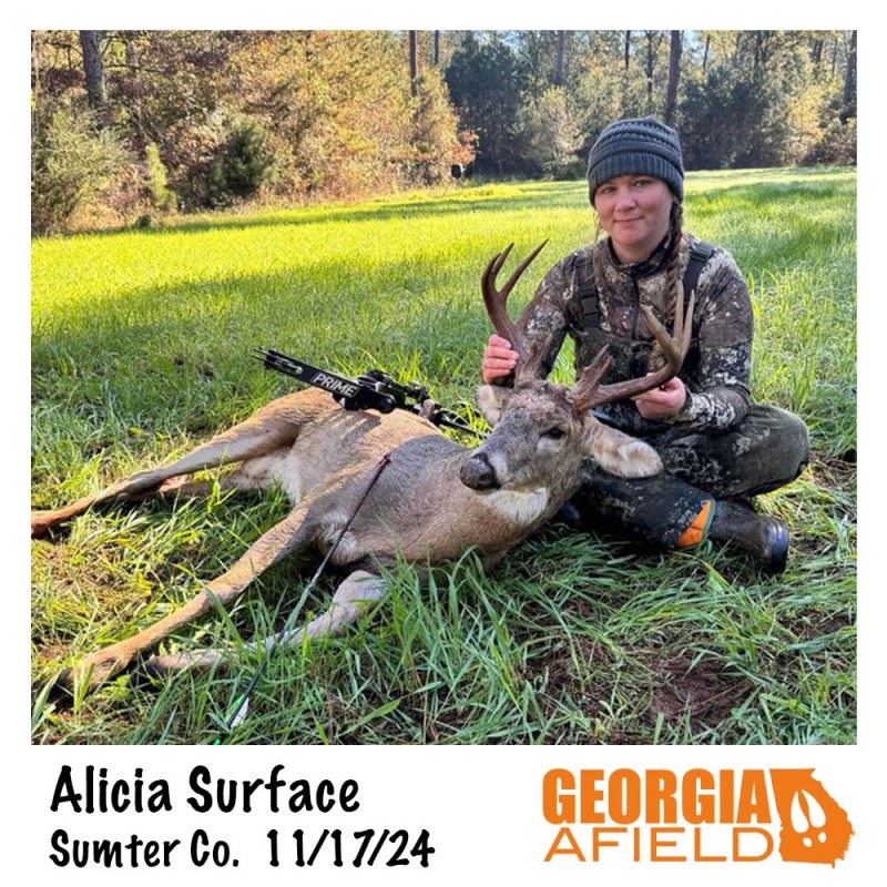 Alicia-Surface-buck