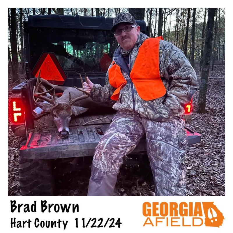 Brad-Brown-buck