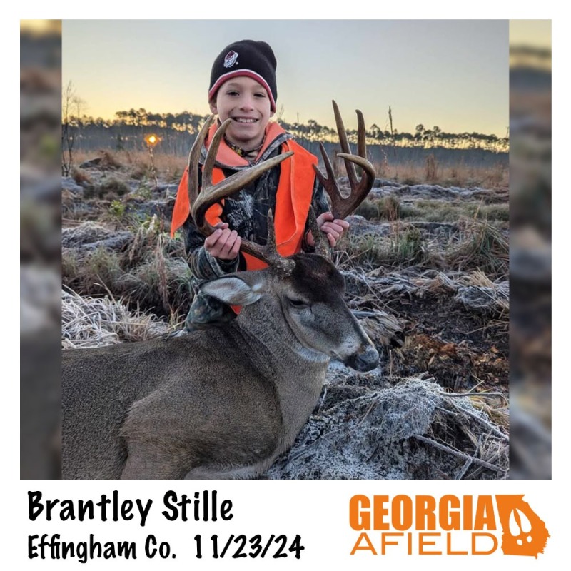 Brantley-Stille-buck