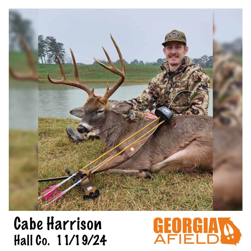 Cabe-Harrison-buck
