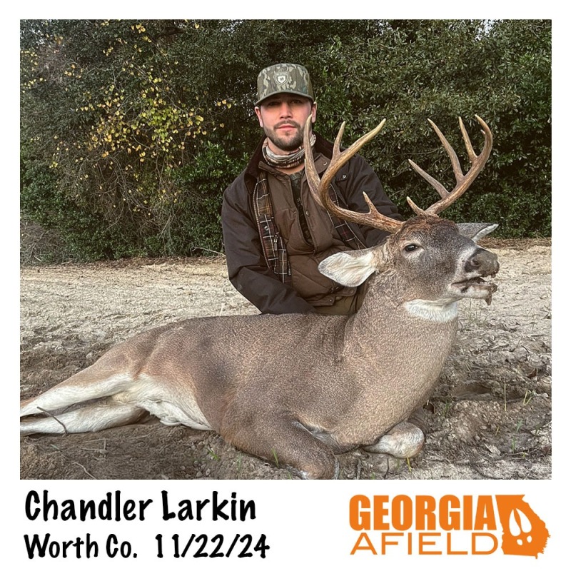 Chandler-Larkin-buck