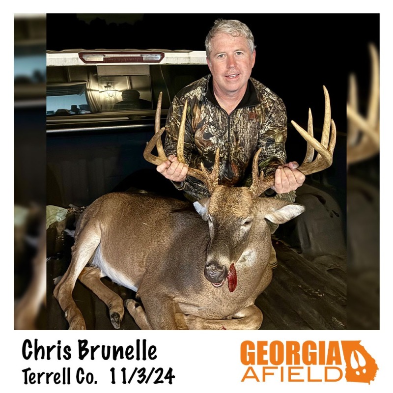 Chris-Brunelle-buck