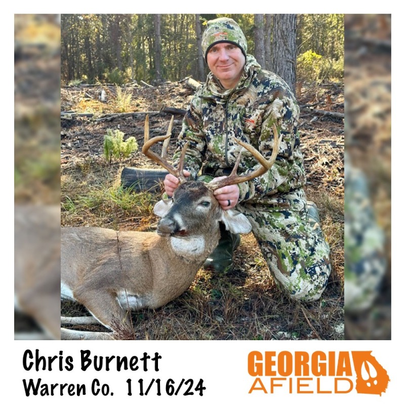 Chris-Burnett-buck