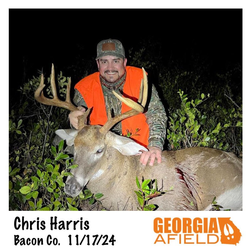 Chris-Harris-buck