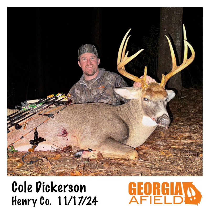 Cole-Dickerson-buck