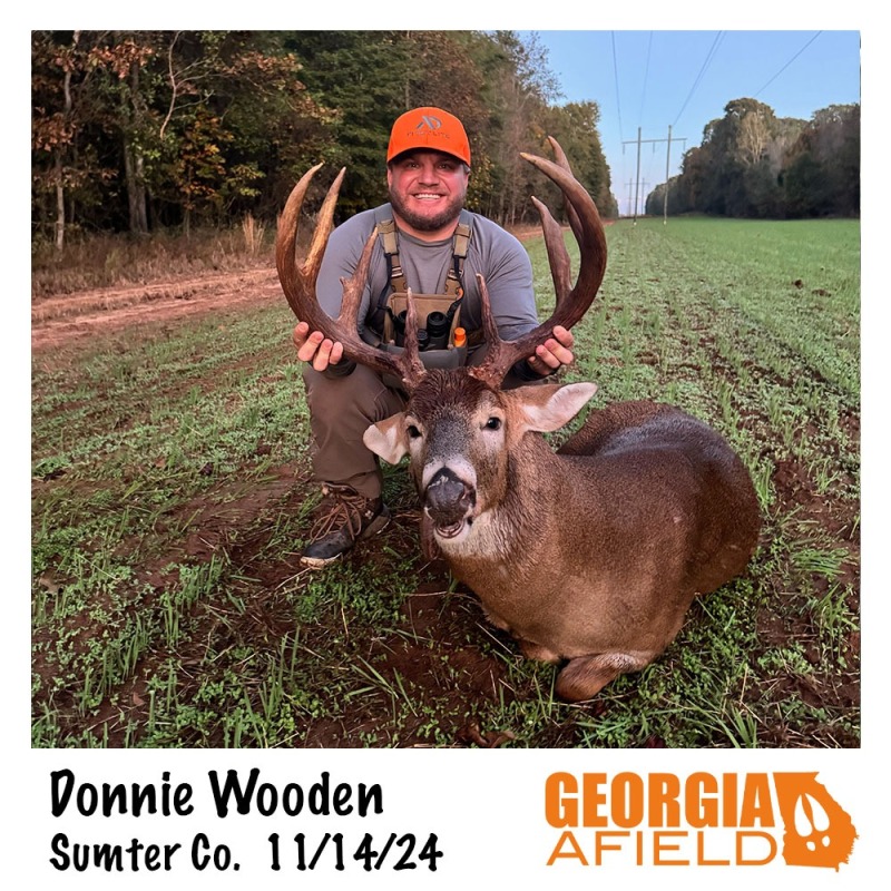 Donnie-Wooden-buck