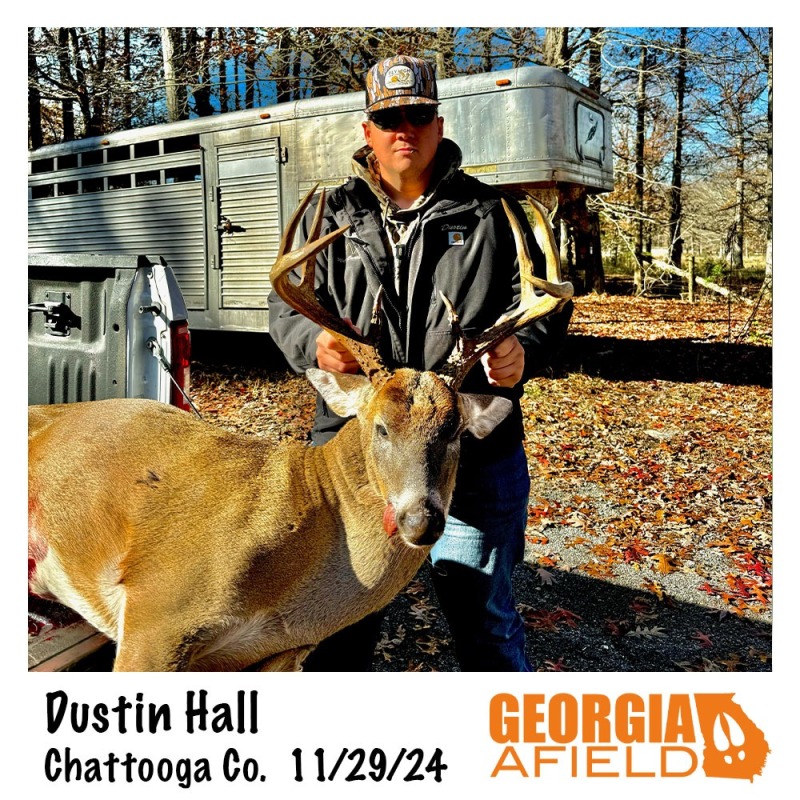Dustin-Hall-buck
