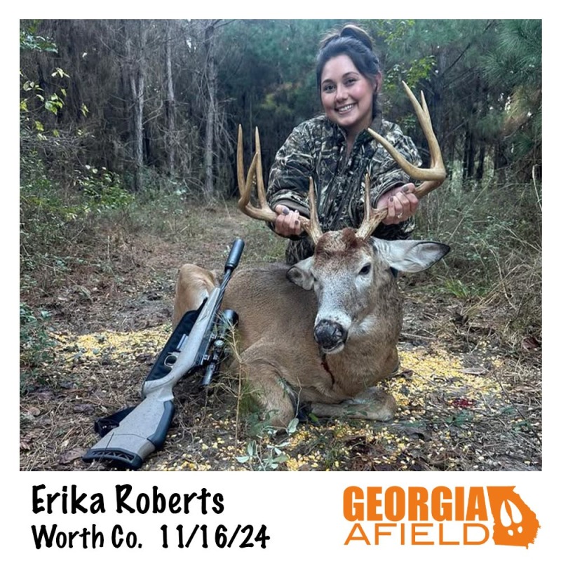 Erica-Worth-buck