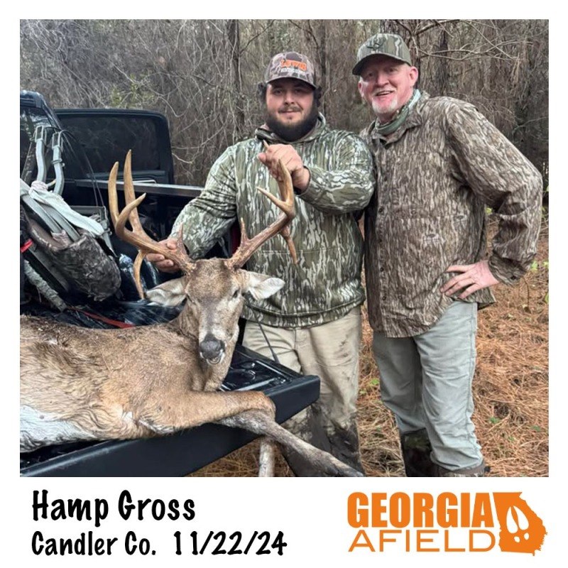 Hamp-Gross-buck