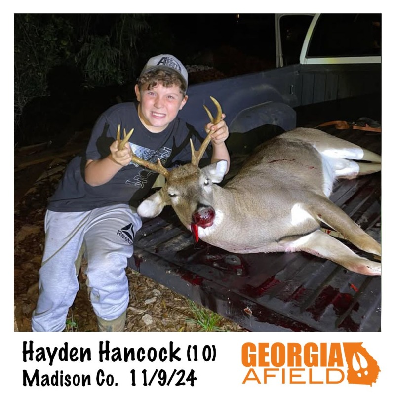 Hayden-Hancock-buck
