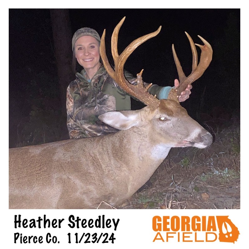 Heather-Steedley-buck