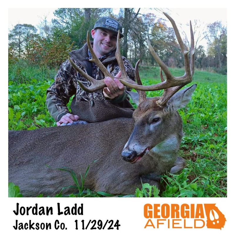 Jordan-Ladd-buck