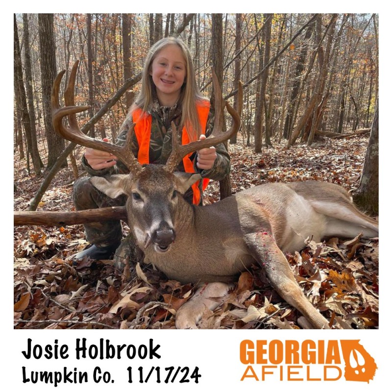 Josie-Holbrook-buck