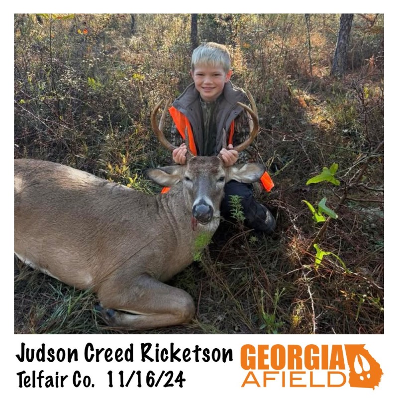 Judson-Creek-Ricketson-buck