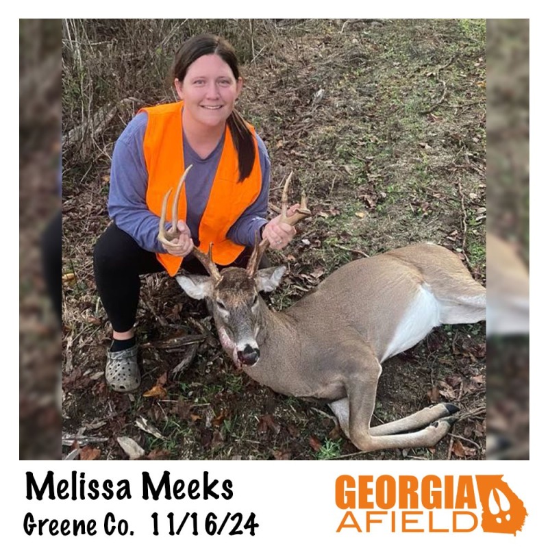 Melissa-Meeks-buck-female