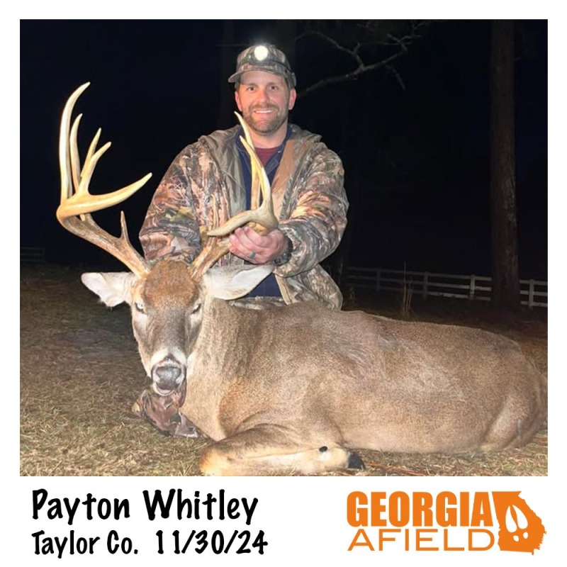 Payton-Whitley-buck