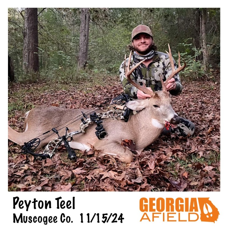 Peyton-Teel-buck