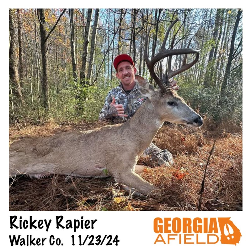 Rickey-Rapier-buck2