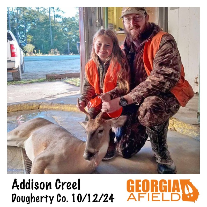 1_Addison-Creel-buck