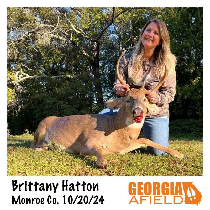 Brittany-Hatton-buck