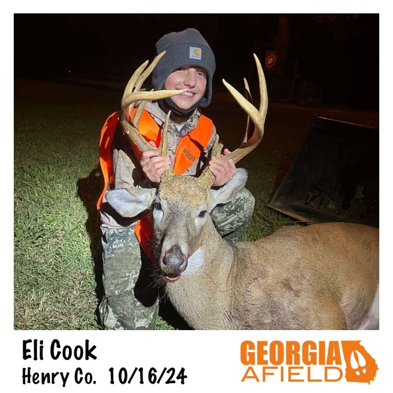 Eli-Cook-buck