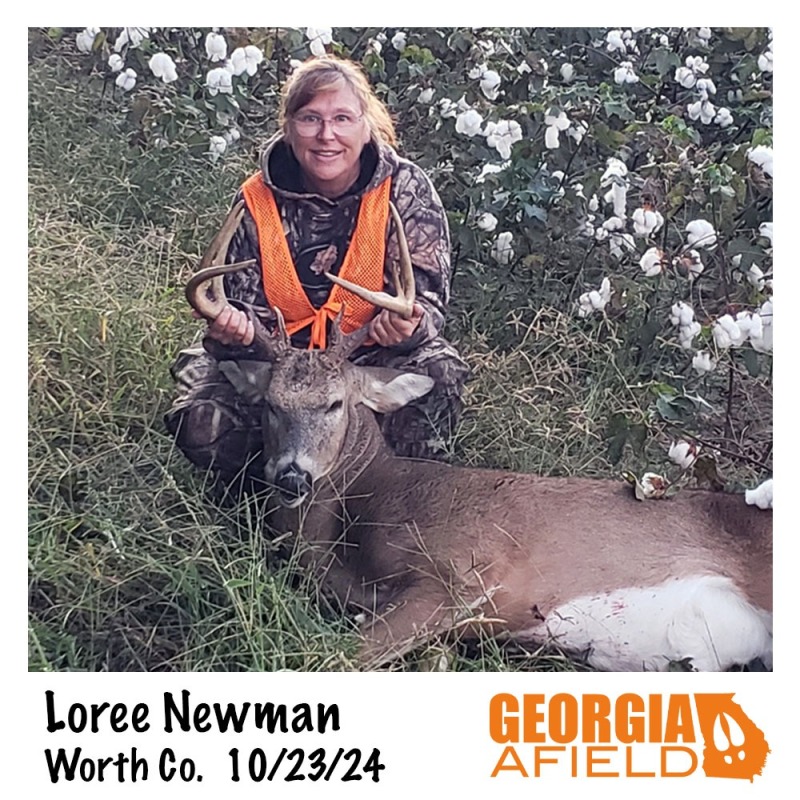 Loree-Newman-buck