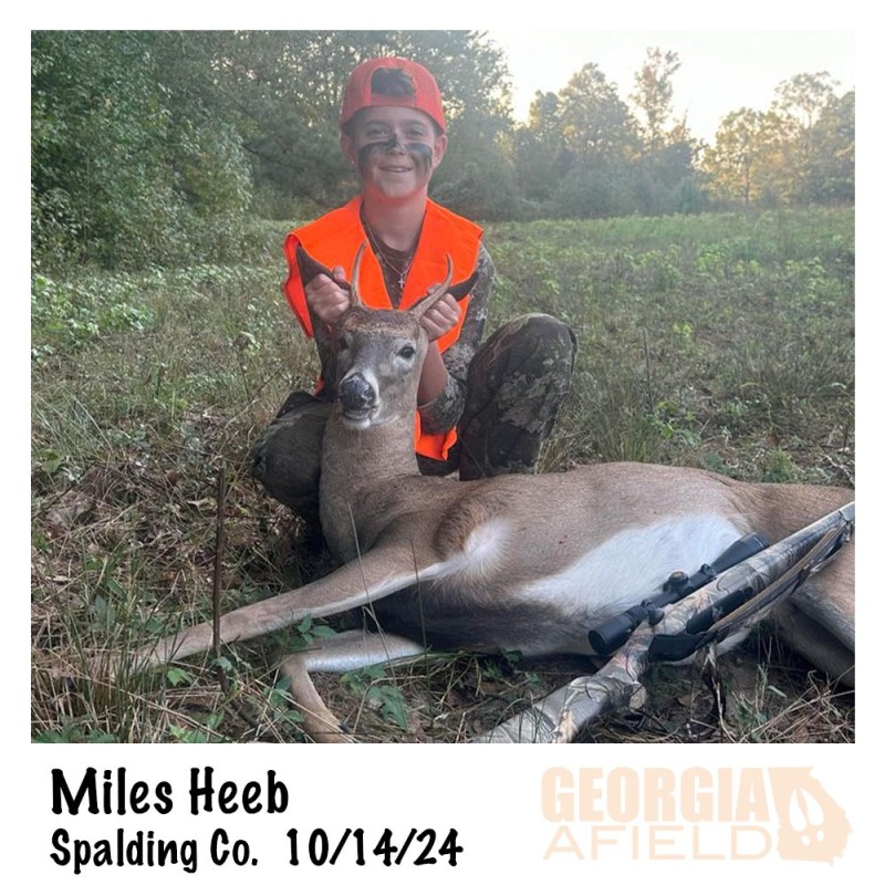 Miles-Heeb-buck