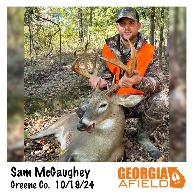 Sam-McGaughey-buck