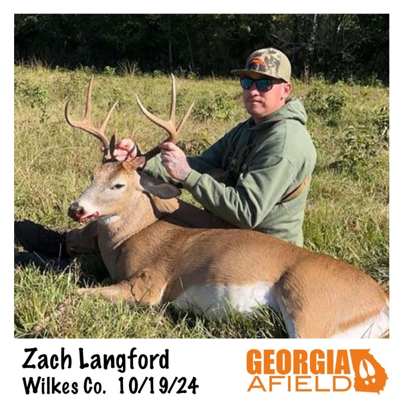 Zach-Langford-buck