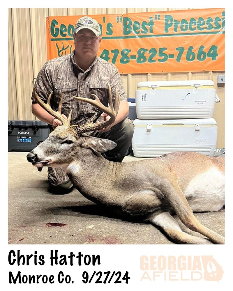 Chris-Hatton-buck