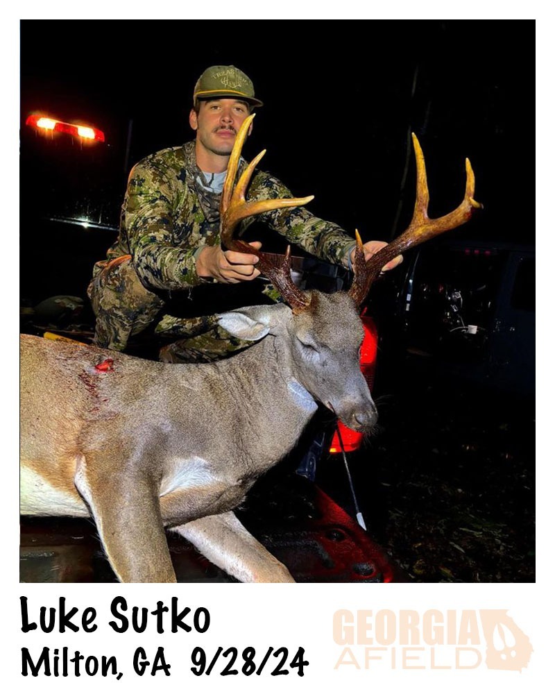 Luke-Sutko-buck