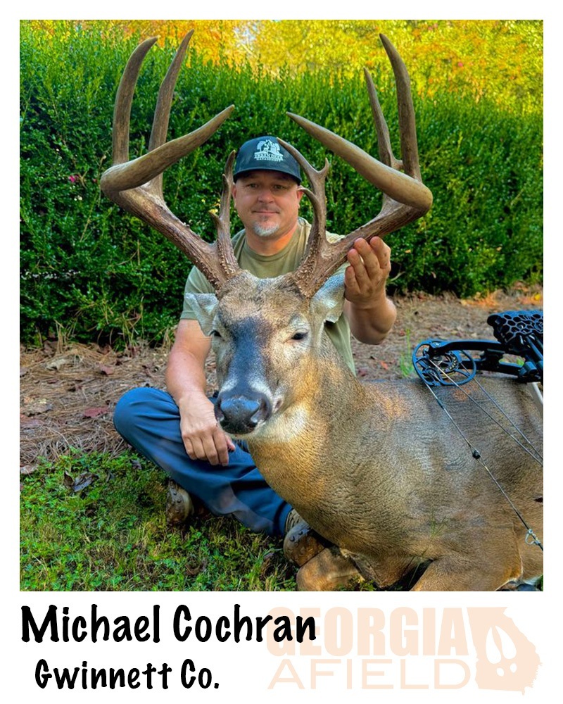 Michael-Cochran-buck-2