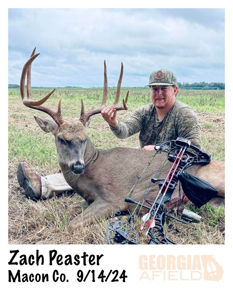 Zach-Peaster-buck