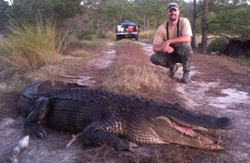 The author kneeling behind an alligator he caught in Georgia.