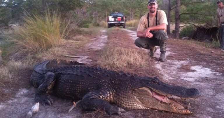 The author squatting behind a large alligator.