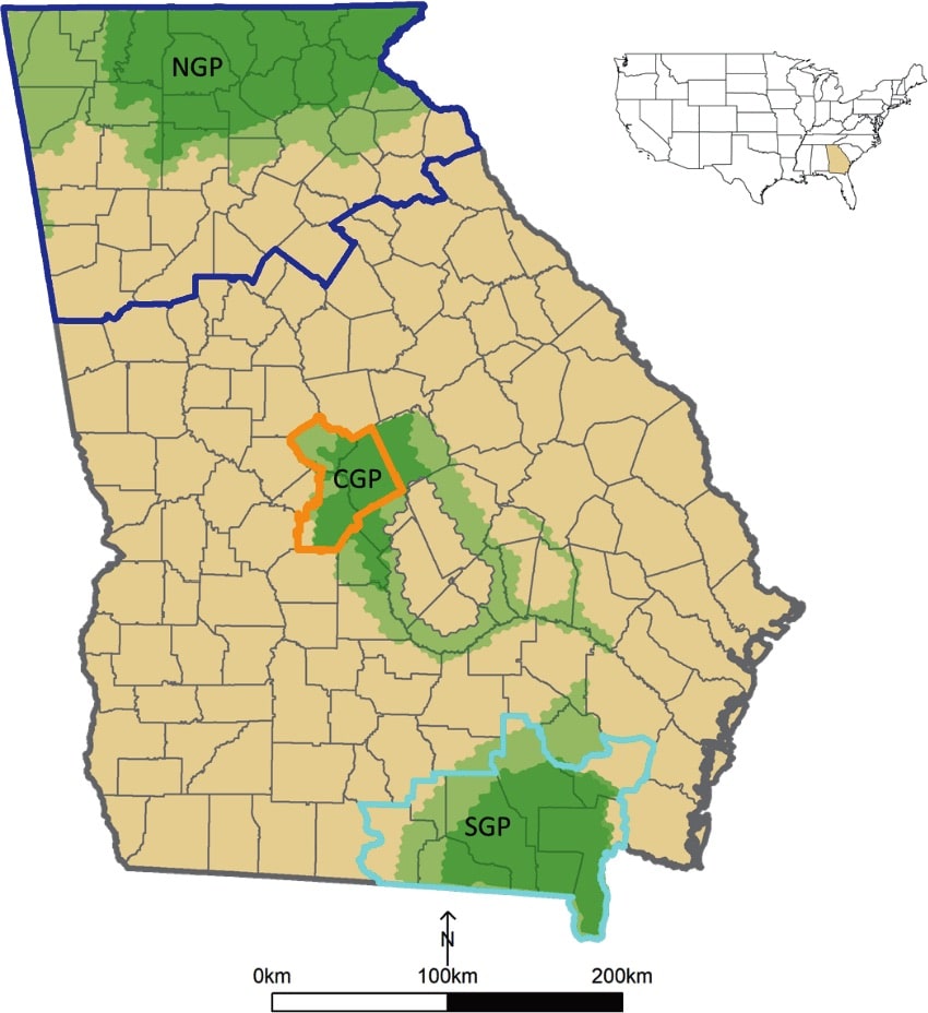 Map of Georgia's three distinct bear populations.