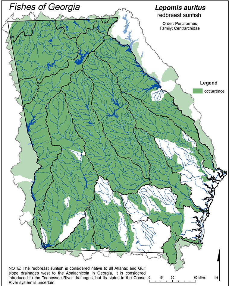 Map of river drainages in Georgia with redbreast sunfish.