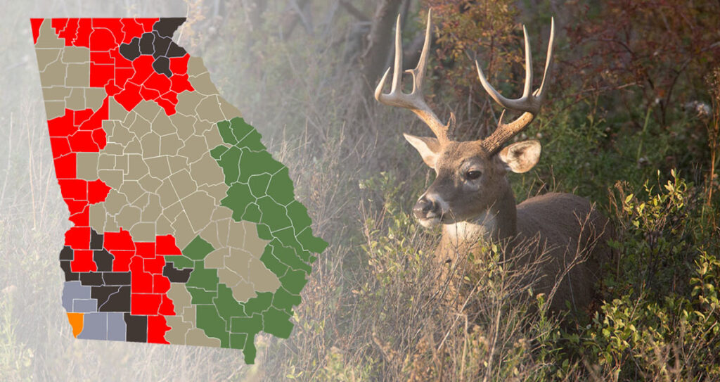 Nice buck standing in a field, with a map of the Georgia rut dates overlayed.